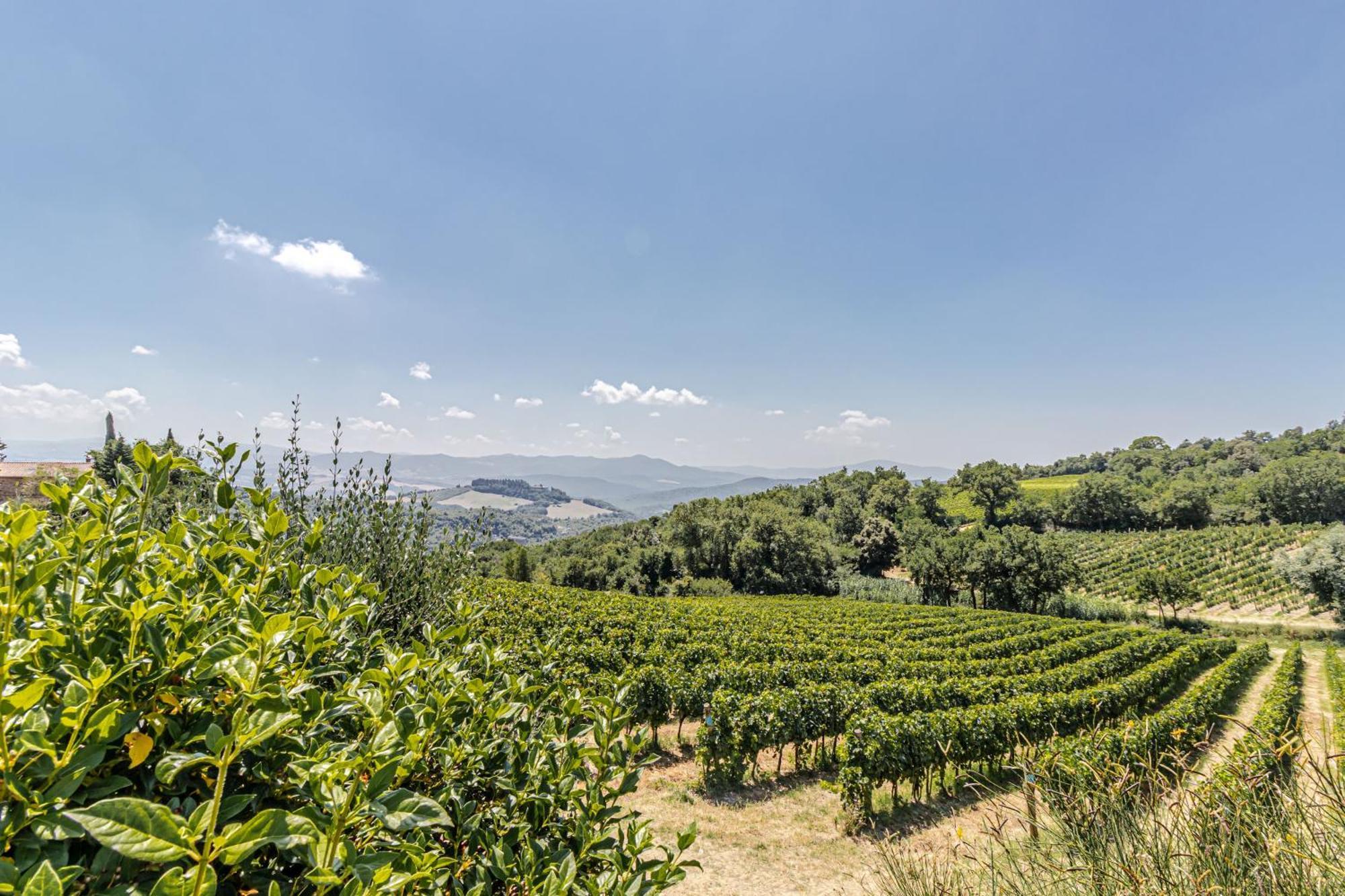Chateau La Siroque Montecatini Val di Cecina Eksteriør billede