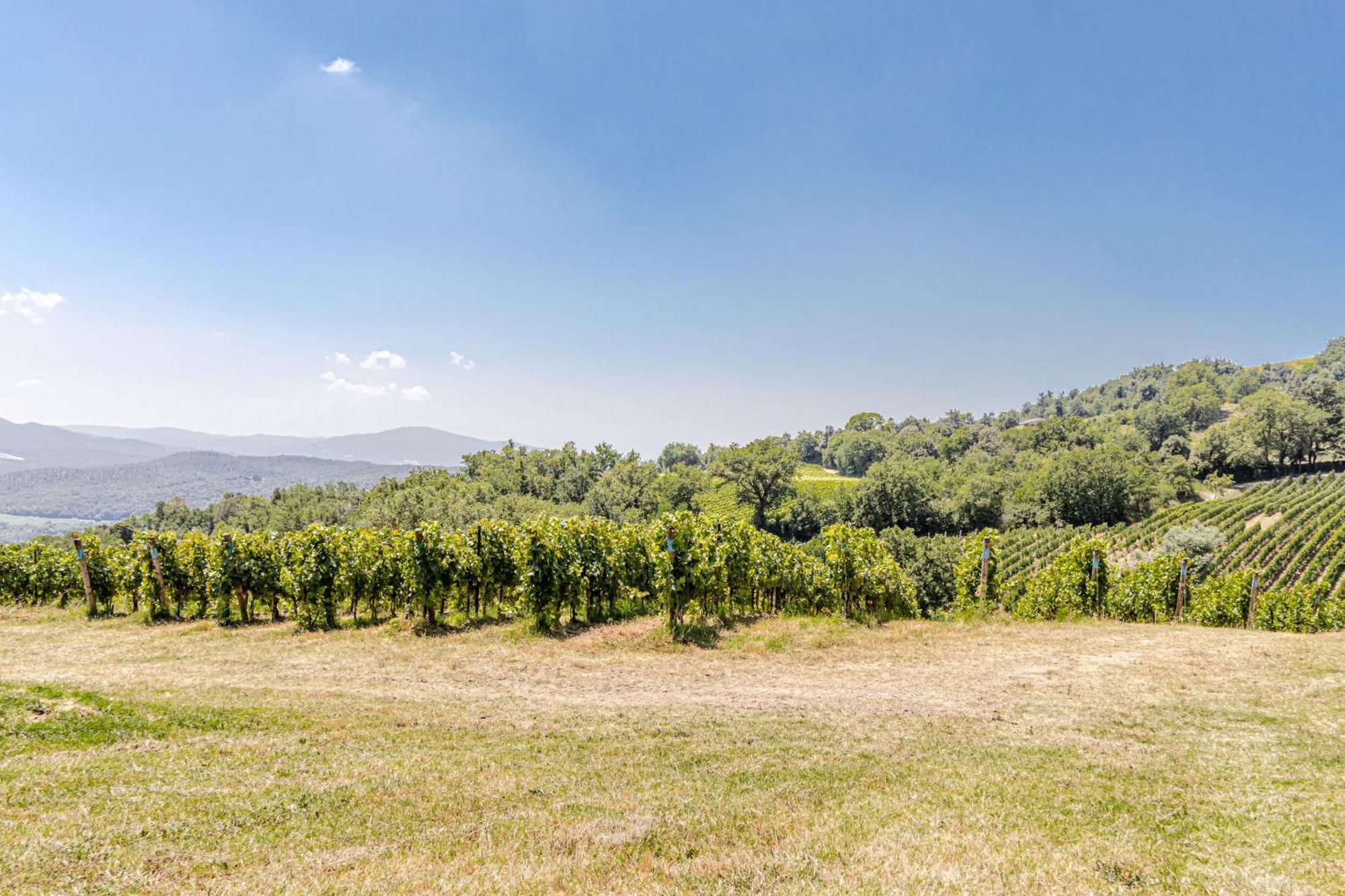Chateau La Siroque Montecatini Val di Cecina Eksteriør billede